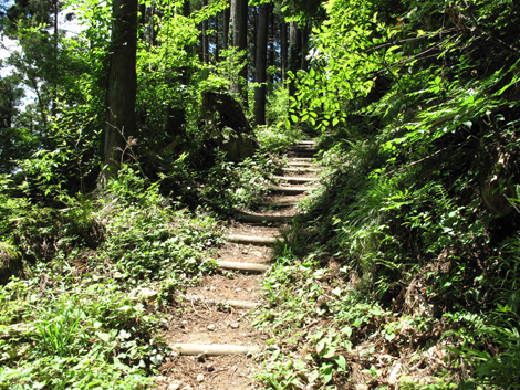 20140517hike (59)